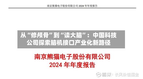 从“修颅骨”到“读大脑”：中国科技公司探索脑机接口产业化新路径-第3张图片