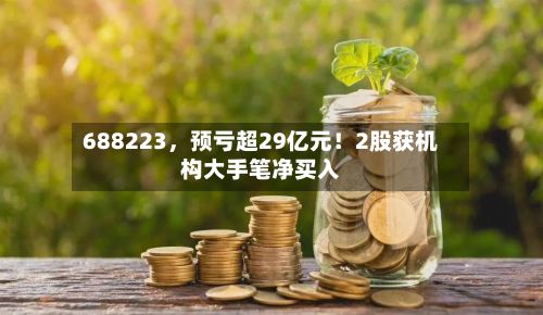 688223，预亏超29亿元！2股获机构大手笔净买入-第1张图片