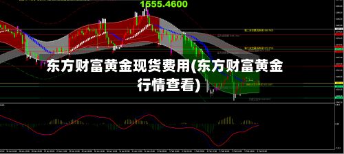 东方财富黄金现货费用(东方财富黄金行情查看)