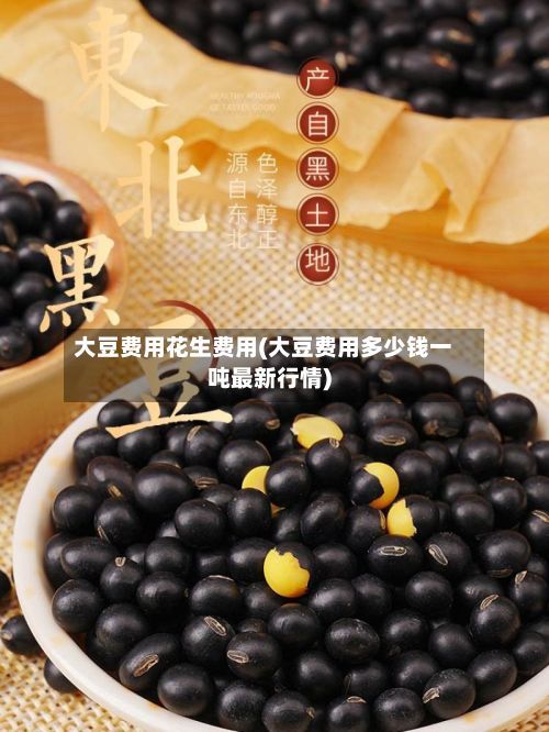 大豆费用花生费用(大豆费用多少钱一吨最新行情)-第2张图片