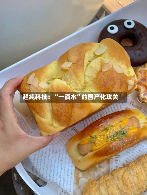 超纯科技：“一滴水	”的国产化攻关-第3张图片