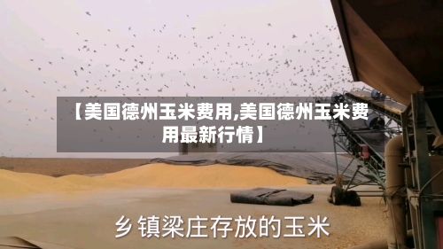 【美国德州玉米费用,美国德州玉米费用最新行情】