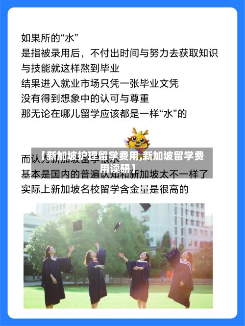 【新加坡护理留学费用,新加坡留学费用读研】