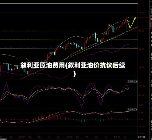 叙利亚原油费用(叙利亚油价抗议后续)