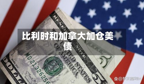 比利时和加拿大加仓美债-第1张图片