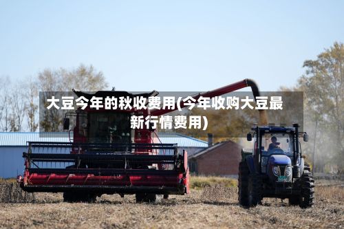 大豆今年的秋收费用(今年收购大豆最新行情费用)