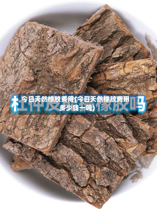今日天然橡胶费用(今日天然橡胶费用多少钱一吨)-第2张图片