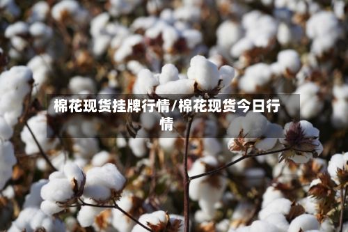 棉花现货挂牌行情/棉花现货今日行情-第2张图片