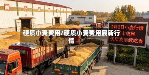 硬质小麦费用/硬质小麦费用最新行情
