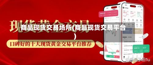商品现货交易场所(商品现货交易平台)