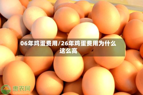 06年鸡蛋费用/26年鸡蛋费用为什么这么高-第2张图片