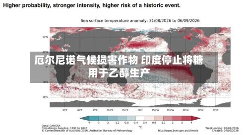 厄尔尼诺气候损害作物 印度停止将糖用于乙醇生产-第3张图片