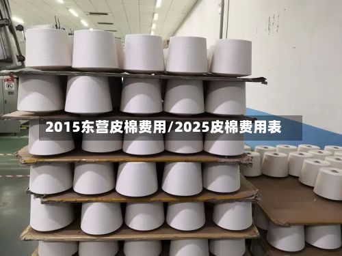 2015东营皮棉费用/2025皮棉费用表-第2张图片