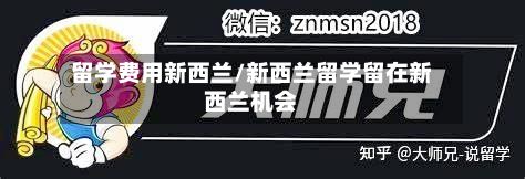 留学费用新西兰/新西兰留学留在新西兰机会-第2张图片