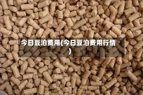 今日豆泊费用(今日豆泊费用行情)-第2张图片