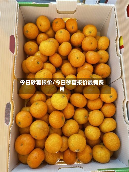 今日砂糖报价/今日砂糖报价最新费用