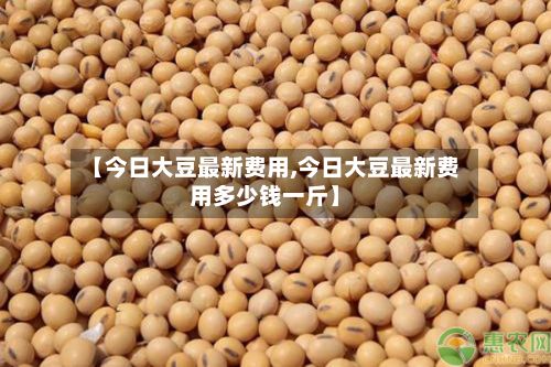 【今日大豆最新费用,今日大豆最新费用多少钱一斤】-第2张图片