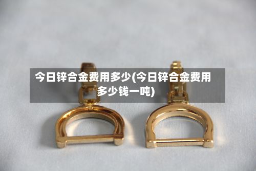 今日锌合金费用多少(今日锌合金费用多少钱一吨)-第3张图片