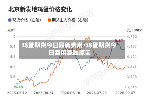 鸡蛋期货今日最新费用/鸡蛋期货今日费用涨跌原因