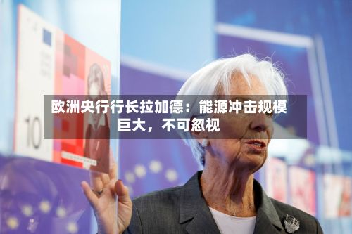 欧洲央行行长拉加德：能源冲击规模巨大，不可忽视-第3张图片