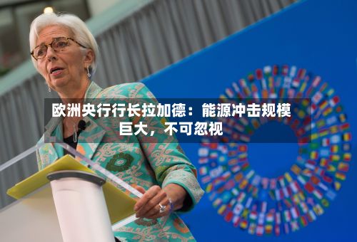欧洲央行行长拉加德：能源冲击规模巨大，不可忽视-第2张图片