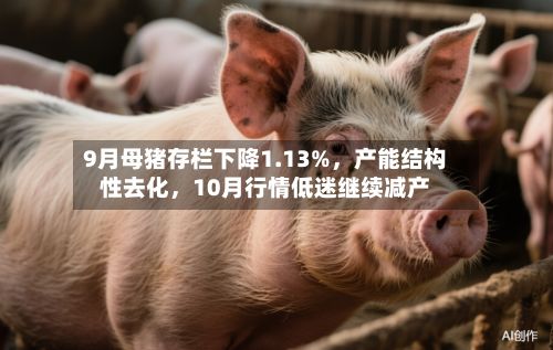9月母猪存栏下降1.13%，产能结构性去化	，10月行情低迷继续减产-第2张图片