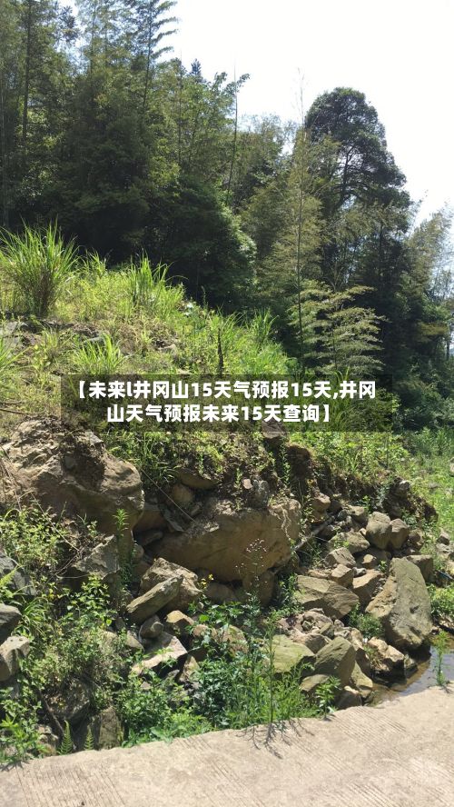 【未来l井冈山15天气预报15天,井冈山天气预报未来15天查询】-第3张图片