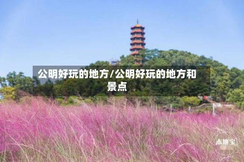 公明好玩的地方/公明好玩的地方和景点-第3张图片