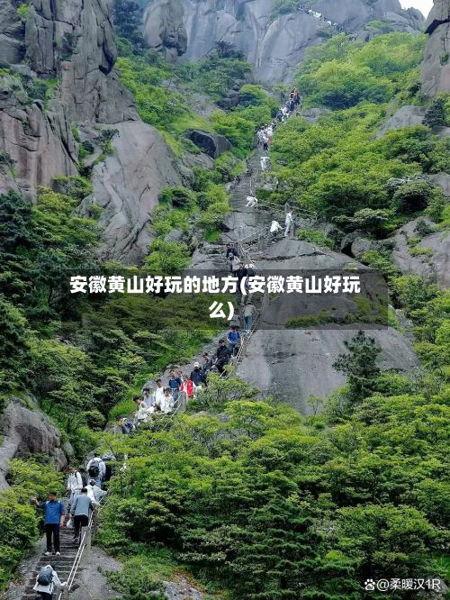 安徽黄山好玩的地方(安徽黄山好玩么)-第3张图片