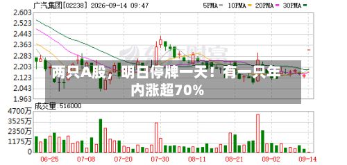 两只A股，明日停牌一天！有一只年内涨超70%-第2张图片