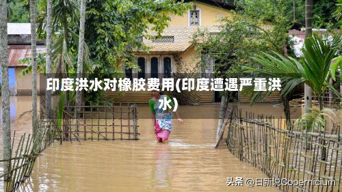 印度洪水对橡胶费用(印度遭遇严重洪水)-第2张图片