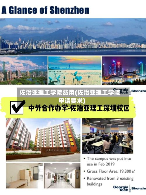佐治亚理工学院费用(佐治亚理工学院申请要求)-第2张图片