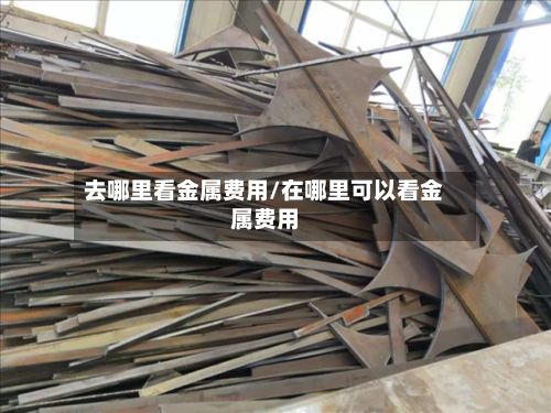 去哪里看金属费用/在哪里可以看金属费用