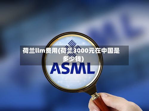 荷兰llm费用(荷兰3000元在中国是多少钱)