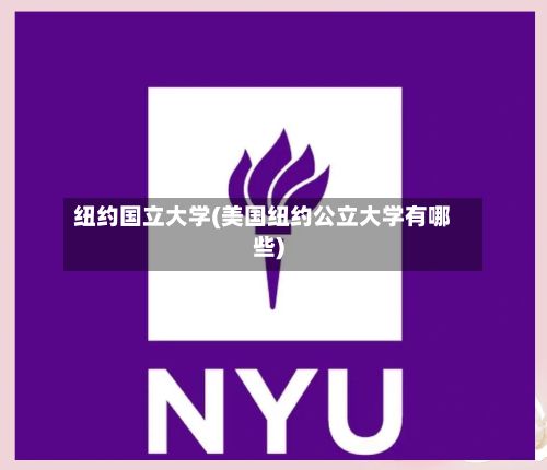 纽约国立大学(美国纽约公立大学有哪些)-第3张图片