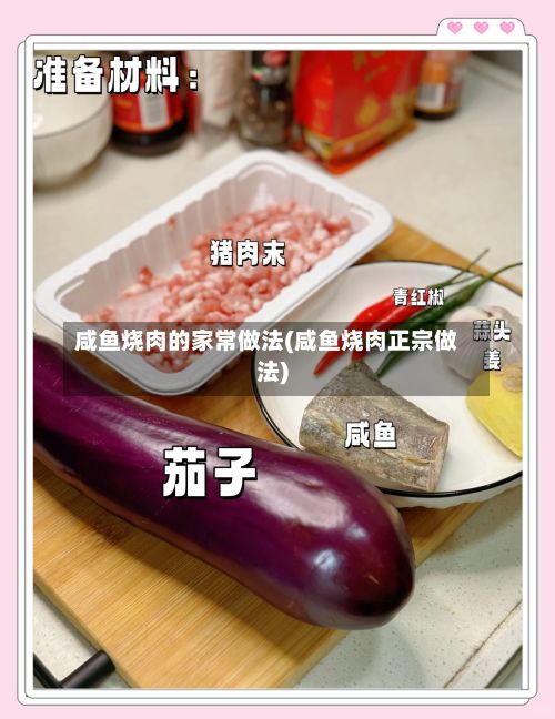 咸鱼烧肉的家常做法(咸鱼烧肉正宗做法)