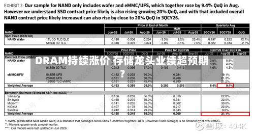 DRAM持续涨价 存储龙头业绩超预期？