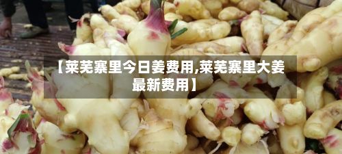 【莱芜寨里今日姜费用,莱芜寨里大姜最新费用】