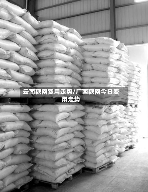云南糖网费用走势/广西糖网今日费用走势