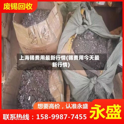 上海锡费用最新行情(锡费用今天最新行情)-第3张图片