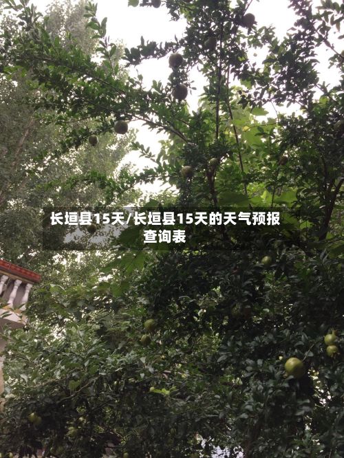长垣县15天/长垣县15天的天气预报查询表-第2张图片