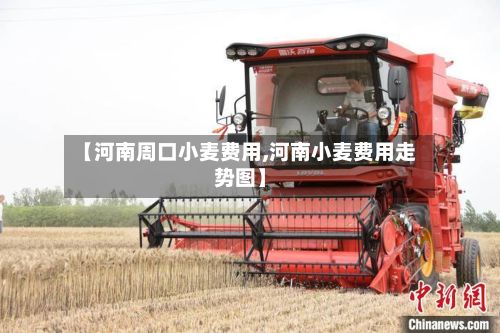 【河南周口小麦费用,河南小麦费用走势图】