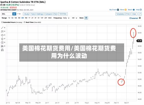美国棉花期货费用/美国棉花期货费用为什么波动-第3张图片