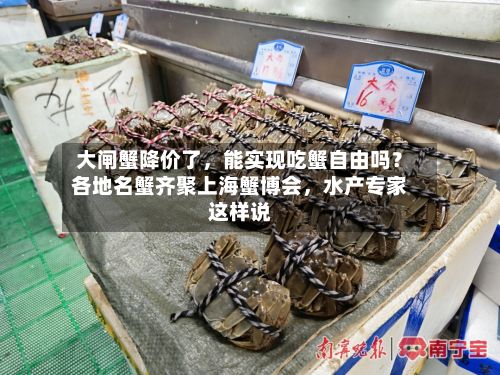 大闸蟹降价了，能实现吃蟹自由吗？各地名蟹齐聚上海蟹博会，水产专家这样说-第2张图片