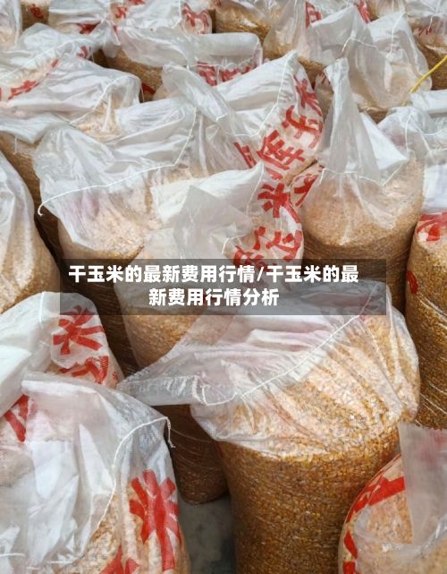 干玉米的最新费用行情/干玉米的最新费用行情分析