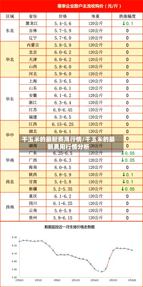 干玉米的最新费用行情/干玉米的最新费用行情分析-第3张图片