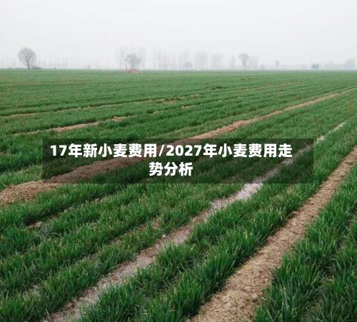 17年新小麦费用/2027年小麦费用走势分析
