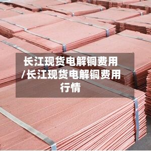 长江现货电解铜费用/长江现货电解铜费用行情