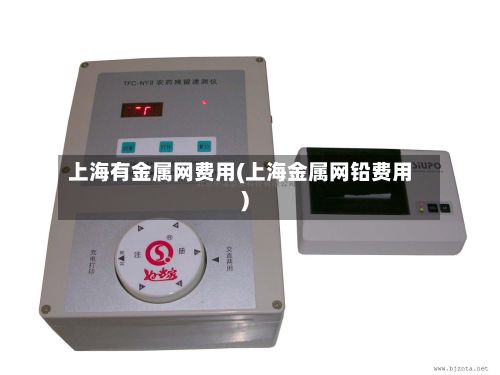 上海有金属网费用(上海金属网铅费用)-第2张图片