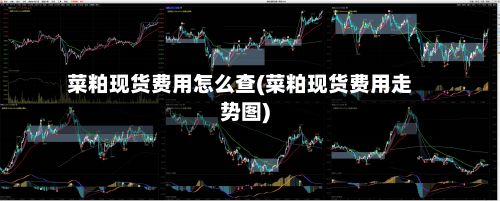 菜粕现货费用怎么查(菜粕现货费用走势图)-第2张图片